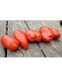 Tomato 'Federle' Seeds (Certified Organic)