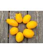 Tomato 'Golden Gates' Seeds (Certified Organic)
