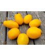 Tomato 'Golden Gates' Seeds (Certified Organic)