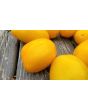 Tomato 'Golden Gates' Seeds (Certified Organic)