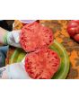 Tomato 'Russian Rose' Seeds (Certified Organic)