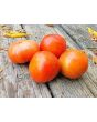 Tomato 'Buckbee's New 50 Day' Seeds (Certified Organic)