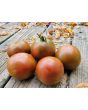 Tomato 'Brazilian Beauty' Seeds (Certified Organic)
