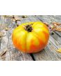 Tomato 'Three Fat Men' Seeds (Certified Organic)