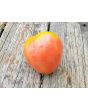 Tomato 'Gemini' Seeds (Certified Organic)