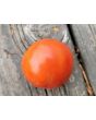 Tomato 'Sophie's Choice' Seeds (Certified Organic)