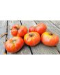 Tomato 'Guido' Seeds (Certified Organic)