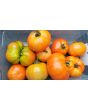 Tomato 'Tondo Liscio' Seeds (Certified Organic)