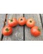 Tomato 'Illini Star' Seeds (Certified Organic)