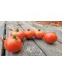 Tomato 'Illini Star' Seeds (Certified Organic)