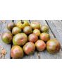 Tomato 'Kozula 24' Seeds (Certified Organic)