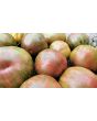 Tomato 'Kozula 24' Seeds (Certified Organic)