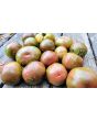 Tomato 'Kozula 24' Seeds (Certified Organic)