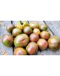Tomato 'Kozula 24' Seeds (Certified Organic)