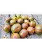 Tomato 'Kozula 24' Seeds (Certified Organic)