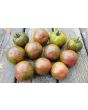 Tomato 'Kozula 24' Seeds (Certified Organic)