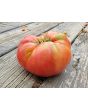 Tomato 'Mrs. Maxwell's Big Italian' Seeds (Certified Organic)