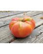 Tomato 'Mrs. Maxwell's Big Italian' Seeds (Certified Organic)