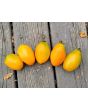 Tomato 'Orange Roma' Seeds (Certified Organic)