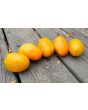 Tomato 'Orange Roma' Seeds (Certified Organic)