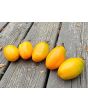 Tomato 'Orange Roma' Seeds (Certified Organic)