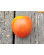 Tomato 'Buffalo Heart' Seeds (Certified Organic)