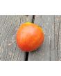 Tomato 'Buffalo Heart' Seeds (Certified Organic)