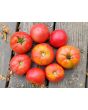 Tomato 'June Pink' AKA 'Pink Earliana' Seeds (Certified Organic)