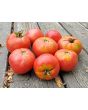 Tomato 'June Pink' AKA 'Pink Earliana' Seeds (Certified Organic)