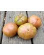 Tomato 'Chocolate Stripes Cross' Seeds (Certified Organic)