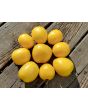 Tomato 'New Moon' Seeds (Certified Organic)