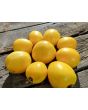 Tomato 'New Moon' Seeds (Certified Organic)