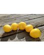 Tomato 'New Moon' Seeds (Certified Organic)