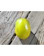 Tomato 'Chile Verde' Seeds (Certified Organic)