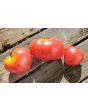 Tomato 'Anna Russian' Seeds (Certified Organic)