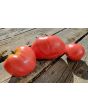 Tomato 'Anna Russian' Seeds (Certified Organic)