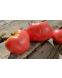 Tomato 'Anna Russian' Seeds (Certified Organic)