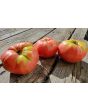 Tomato 'Mrs. Maxwell's Big Italian' Seeds (Certified Organic)