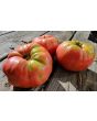 Tomato 'Mrs. Maxwell's Big Italian' Seeds (Certified Organic)