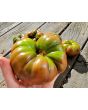 Tomato 'Arbuznyi' Seeds (Certified Organic)