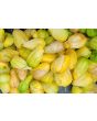 Tomatillo 'Chupon de Malinalco' Seeds (Certified Organic)