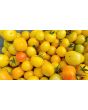Tomato 'Poma Amoris Minora Lutea' Seeds (Certified Organic)