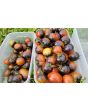 Tomato 'Indigo Blue Chocolate' Seeds (Certified Organic)