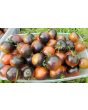 Tomato 'Indigo Blue Chocolate' Seeds (Certified Organic)