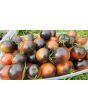 Tomato 'Indigo Blue Chocolate' Seeds (Certified Organic)
