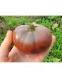 Tomato 'German Black' Seeds (Certified Organic)