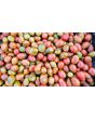 Tomato 'Black Mauri' Seeds (Certified Organic)