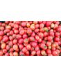 Tomato 'Crovarese Grape' Seeds (Certified Organic)