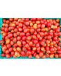 Tomato 'Crovarese Grape' Seeds (Certified Organic)