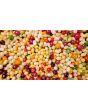 Tomato 'Open School Yellow' Seeds (Certified Organic)